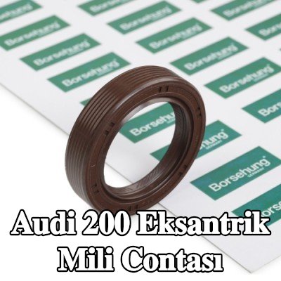 Borsehung Eksantrik mili contası Aks kirişi — Audi 200