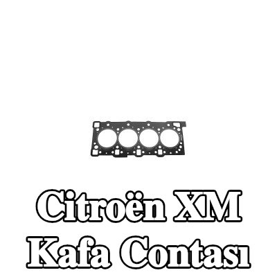 FEBI BILSTEIN Kafa contası — Citroën Xm