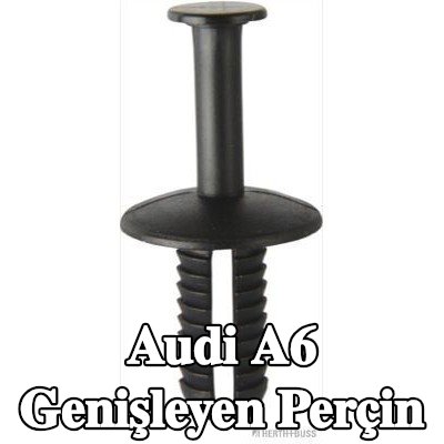 HERTH+BUSS ELPARTS Genişleyen Perçin — 2004 Audi A6