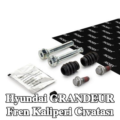 RIDEX Fren kaliperi cıvatası Ön Aks, Arka Aks, cıvatalar ile — 2010 Hyundai Grandeur