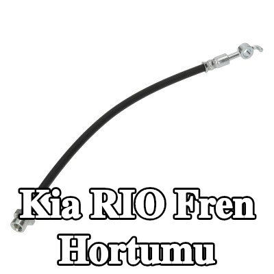 FEBI BILSTEIN Fren hortumu Arka Aks Sol, Arka Aks Sağ, 331mm — Kia Rio