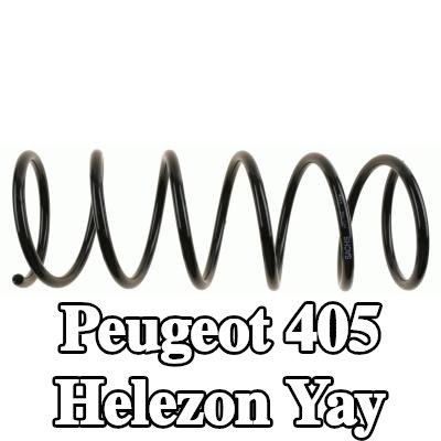 SACHS Helezon yay — 1990 Peugeot 405