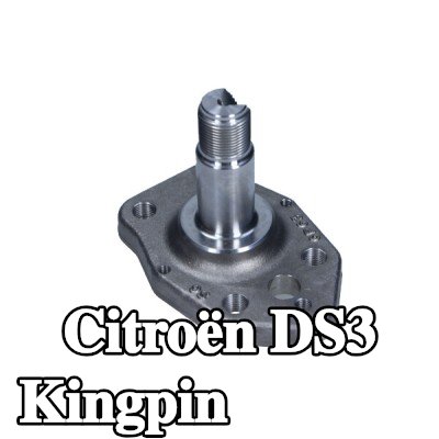 CITROEN/PEUGEOT Kingpin، عمود المحور — Citroën Ds3