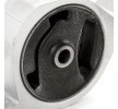 RIDEX Motor yatağı, arka — 2000 Nissan Micra (7)