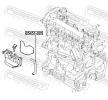 FEBEST Boru — Ford Focus (2)