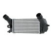 HELLA Intercooler — Ford Fiesta (1)