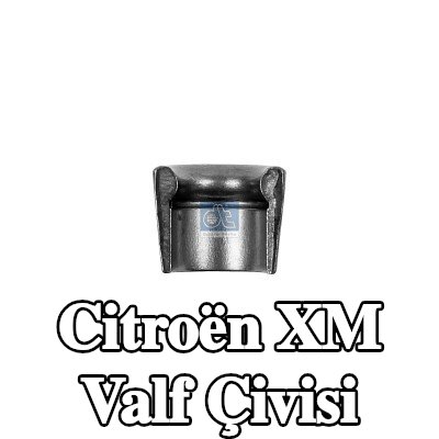 DT Spare Parts Valf Çivisi — Citroën Xm
