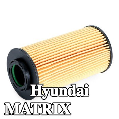 BOSCH فلتر الزيت مع حشوات/أختام — 2004 Hyundai Matrix