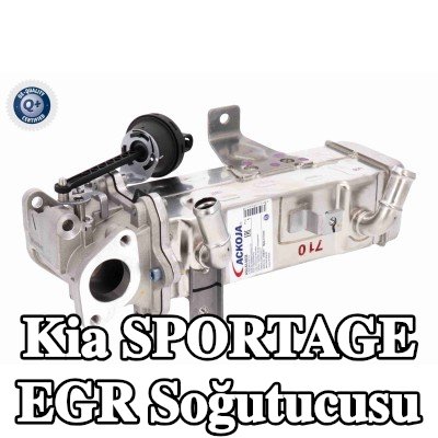 ACKOJA Contalar/sızdırmazlık elemanları ile EGR soğutucusu, EGR valfi olmadan — 2016 Kia Sportage