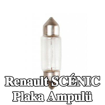 BOSCH Plaka ampulü — 2002 Renault Scénic
