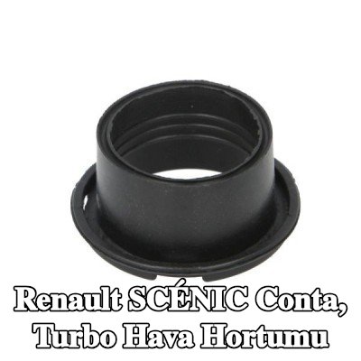 THERMOTEC Conta, turbo hava hortumu — 2003 Renault Scénic