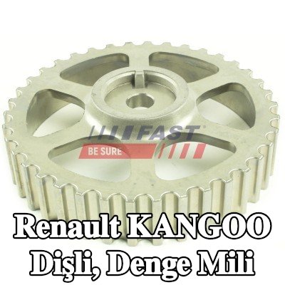 FAST Dişli, denge mili — 2000 Renault Kangoo