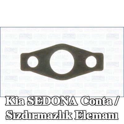 AJUSA Conta / Sızdırmazlık elemanı — Kia Sedona