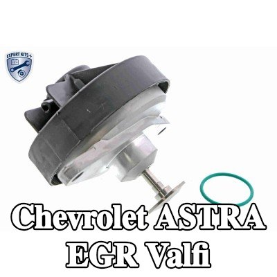 VEMO Contalı/sızdırmazlık elemanlı EGR valfi, EXPERT KITS + — Chevrolet Astra