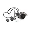 INA Water Pump + V-Ribbed Belt Kit Check alternator freewheel clutch & replace if necessary — Mercedes-Benz Gla (2)