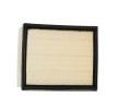 RIDEX Filtre kiti — 2003 Renault Espace (2)