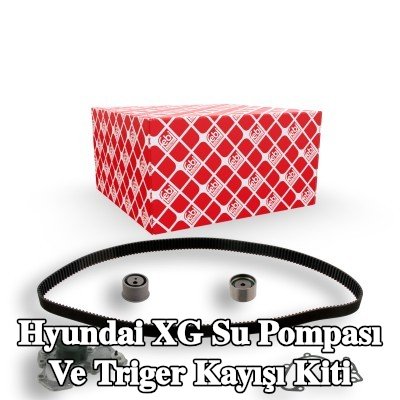 FEBI BILSTEIN Su pompası ve triger kayışı kiti Diş Sayısı: 207, su pompalı — Hyundai Xg