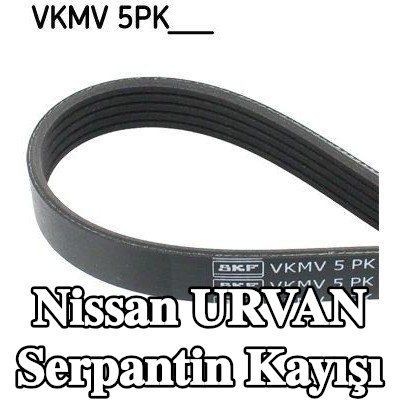 SKF Serpantin kayışı 905mm, Number of ribs: 5 — Nissan Urvan