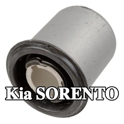 LEMFÖRDER تركيب, حامل المحور الأيسر, المحور الخلفي — Kia Sorento
