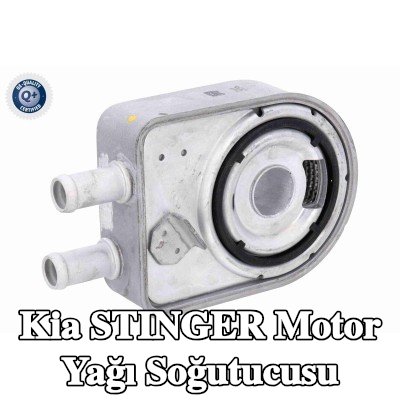 ACKOJA Motor yağı soğutucusu — Kia Stinger