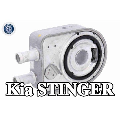 ACKOJA مبرد زيت المحرك — Kia Stinger