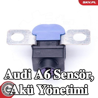ESEN SKV Sensör, akü yönetimi — Audi A6