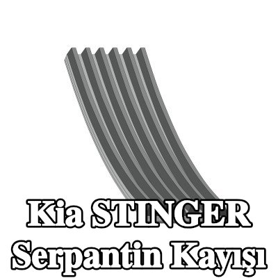 FEBI BILSTEIN Serpantin kayışı 2063mm, Number of ribs: 6 — Kia Stinger