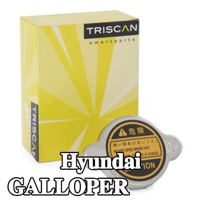 TRISCAN غطاء المبرد — Hyundai Galloper