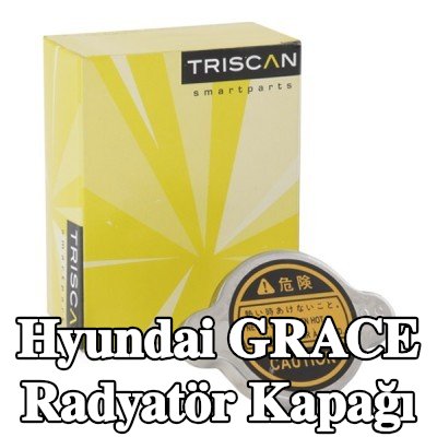 TRISCAN Radyatör kapağı — 2000 Hyundai Grace