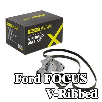 RIDEX PLUS مجموعة أحزمة V-Ribbed — 2002 Ford Focus