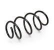 SACHS Helezon yay — Volkswagen Golf (2)