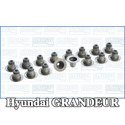 AJUSA مجموعة سدادات صمامات الصمامات — 2011 Hyundai Grandeur