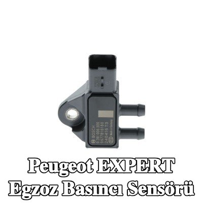 BOSCH Egzoz basıncı sensörü — Peugeot Expert
