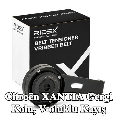 RIDEX Gergi Kolu, V-oluklu kayış — Citroën Xantia