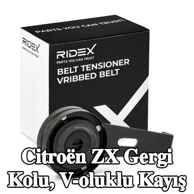 RIDEX Gergi Kolu, V-oluklu kayış — Citroën Zx
