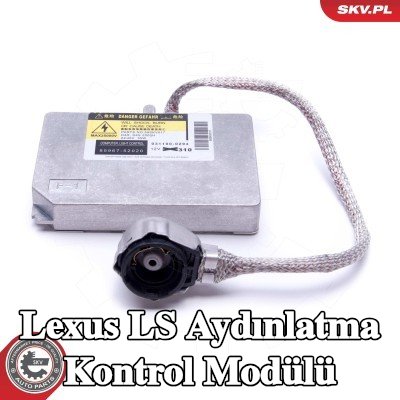 ESEN SKV Aydınlatma kontrol modülü — 2002 Lexus Ls