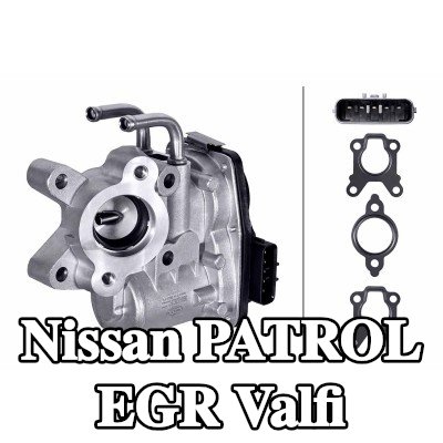 HELLA Contalı/sızdırmazlık elemanlı EGR valfi — Nissan Patrol