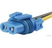 HERTH+BUSS ELPARTS Tapa, far — 2002 Lexus Rx (1)
