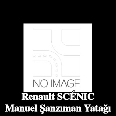 SNR Manuel şanzıman yatağı — Renault Scénic