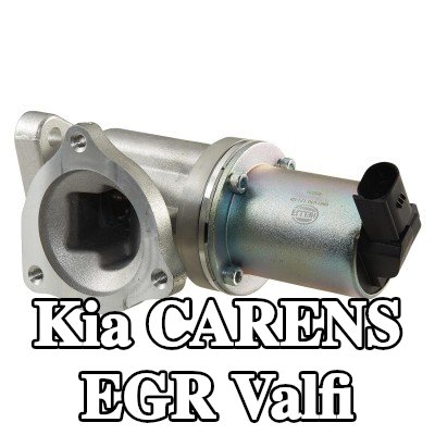 HELLA Contalı/sızdırmazlık elemanlı EGR valfi — 2012 Kia Carens