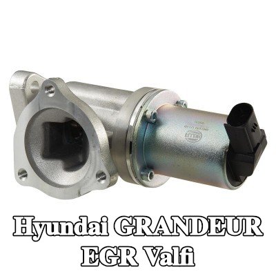 HELLA Contalı/sızdırmazlık elemanlı EGR valfi — Hyundai Grandeur
