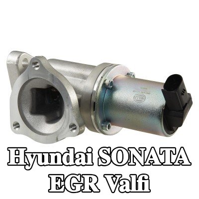 HELLA Contalı/sızdırmazlık elemanlı EGR valfi — Hyundai Sonata