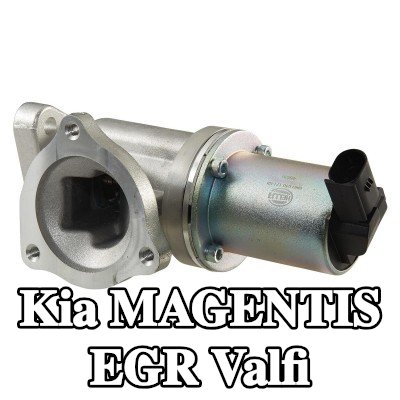 HELLA Contalı/sızdırmazlık elemanlı EGR valfi — Kia Magentis