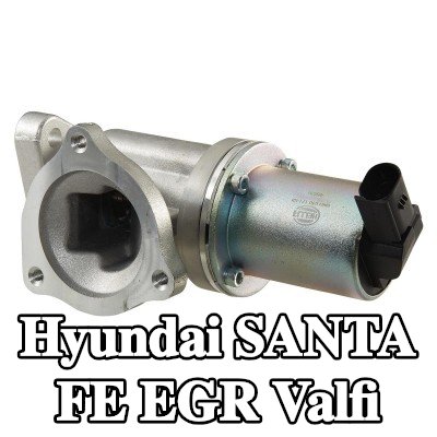 HELLA Contalı/sızdırmazlık elemanlı EGR valfi — 2011 Hyundai Santa Fe