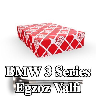 FEBI BILSTEIN Egzoz valfi — 1990 BMW 3 Series