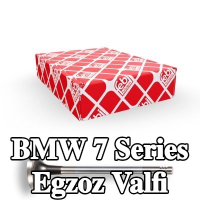 FEBI BILSTEIN Egzoz valfi — 1995 BMW 7 Series