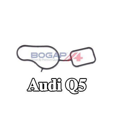 BOGAP حشية، مضخة المياه — 2012 Audi Q5