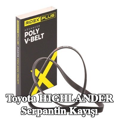 RIDEX PLUS Serpantin kayışı 1560mm, Number of ribs: 6 — Toyota Highlander