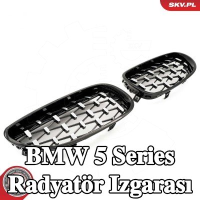 ESEN SKV Her İki Taraf Radyatör Izgarası, Parlak, siyah, gümüş — 2002 BMW 5 Series