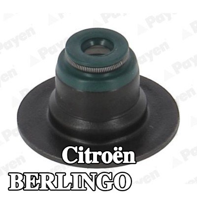 PAYEN حشية صمام — Citroën Berlingo